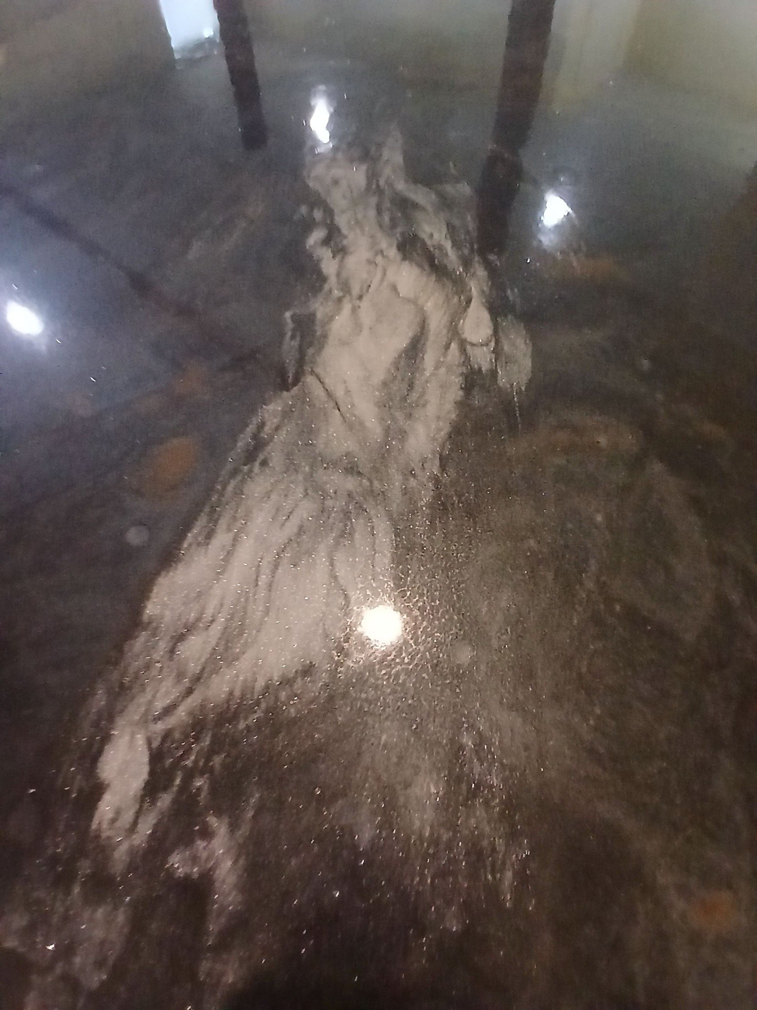 491973097_1309236414081036_2552515718232024668_n